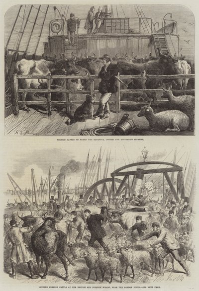 Transporte de ganado de Harden Sidney Melville